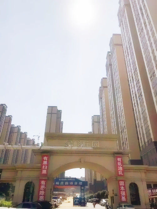 桃江縣金峪莊園小區一期